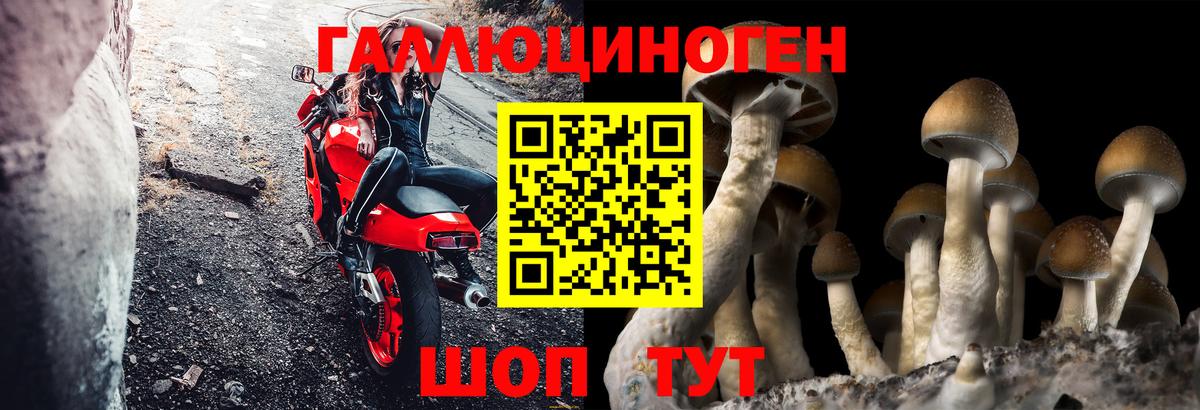 что такое   Псилоцибиновые грибы Cubensis  Псилоцибиновые грибы Cubensis  Вход с VPN  Славянск-на-Кубани 